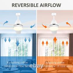 Ceiling Fan with Light, Reversible Airflow, 3 Blades, Mount Lighting Fan, White
