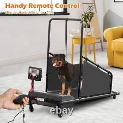 Dog Treadmill with Remote Control and Display Screen