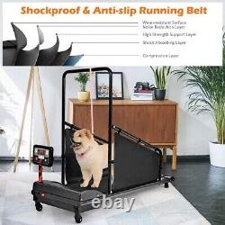 Dog Treadmill with Remote Control and Display Screen