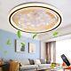 Led Ceiling Fan With Light Remote Control Dimmable For Livingroom Bedroom(round)