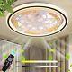 Mute Ceiling Fan With Led Light, Indoor Lighting, Dimmable With Remote Control