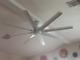 Outdoor/indoor 72 Large Windmill Ceiling Fan + Remote Coastal Patio Led Light