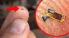 World S Smallest Nerf Gun Shoots An Ant